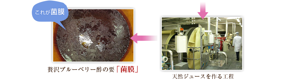 天然ジュースを作る工程→贅沢ブルーベリー酢の要「菌膜」