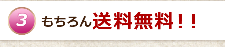 もちろん送料無料！！